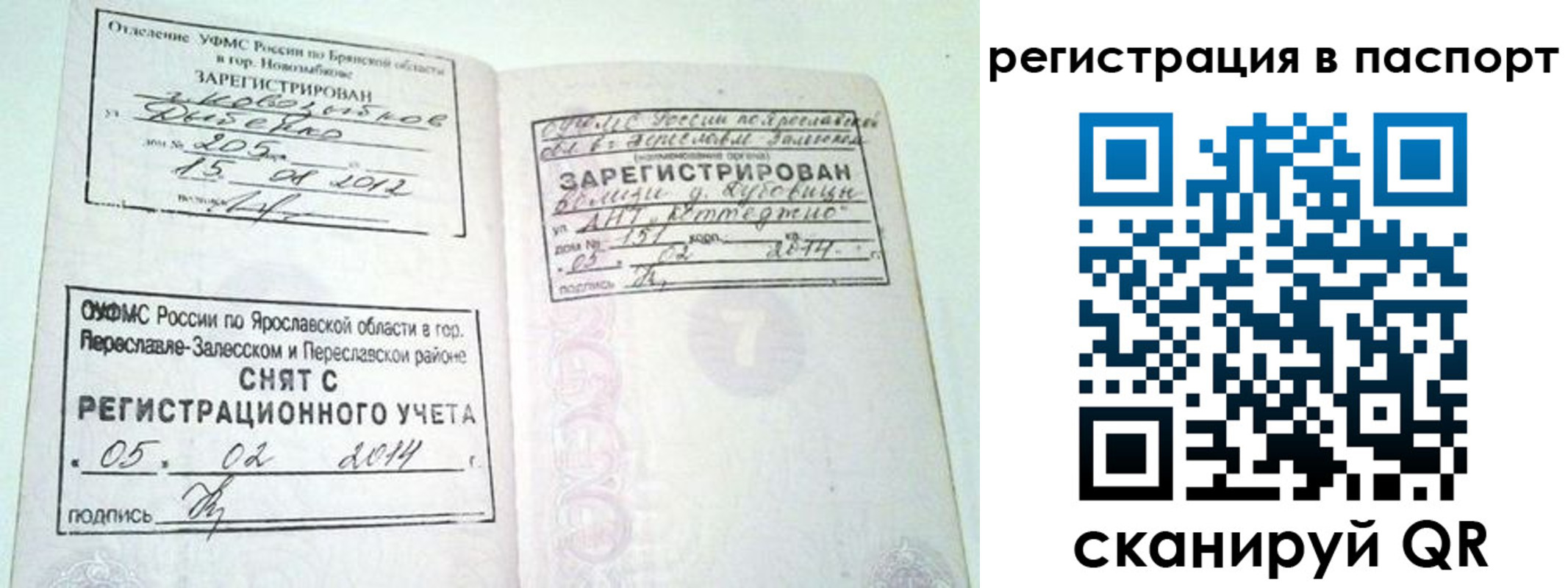 прописка в квартире в Ленинградской области